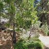 Mobile Home for Sale: 2 Bed 2 Bath 1983 Mobile Home