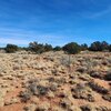 Photo of Mobile Home Lot