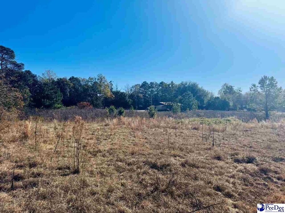 Photo of Mobile Home Lot