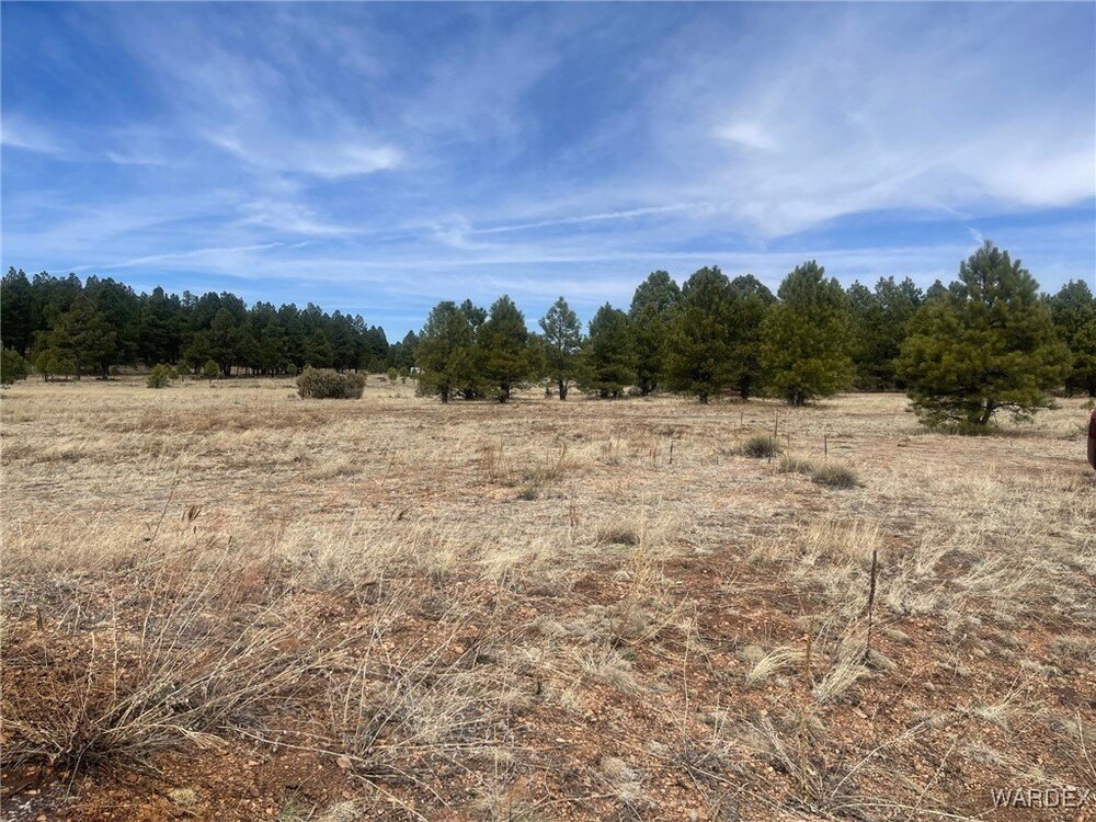 Photo of Mobile Home Lot