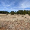Photo of Mobile Home Lot