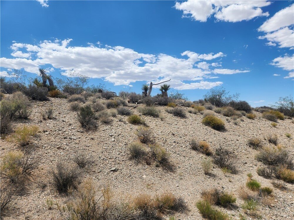 Photo of Mobile Home Lot