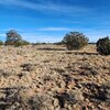 Photo of Mobile Home Lot