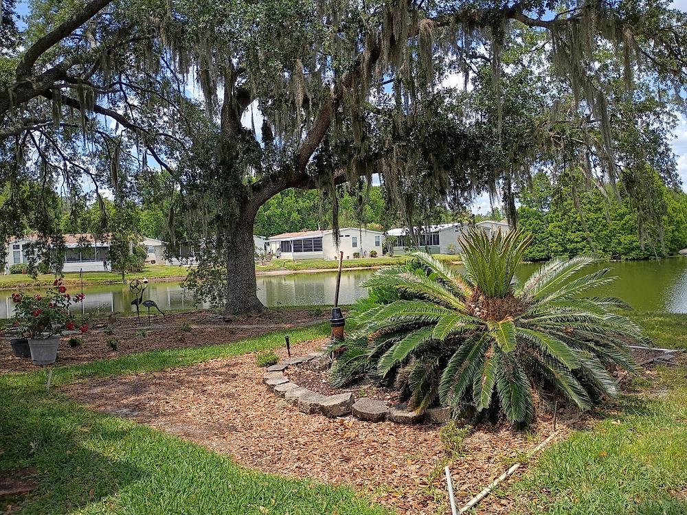 Cypress Lakes Village