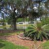Cypress Lakes Village