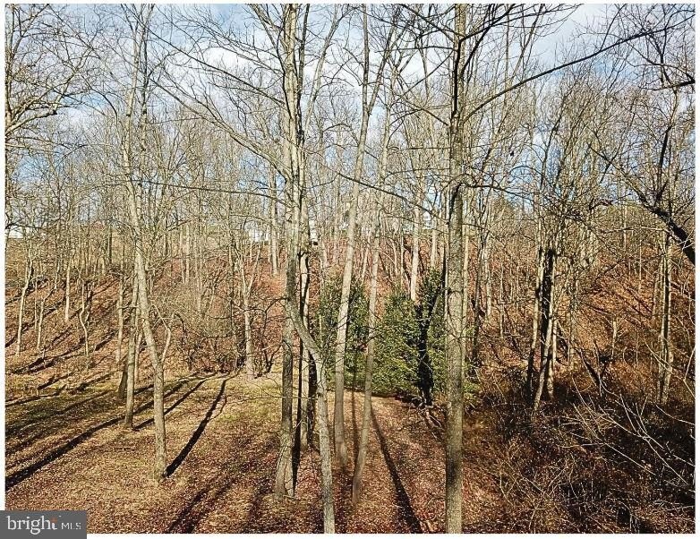 Photo of Mobile Home Lot