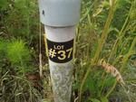 Photo of Mobile Home Lot
