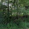 Mobile Home for Sale: 1985 Mobile Home