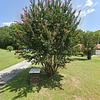 Mobile Home for Sale: 1974 Mobile Home