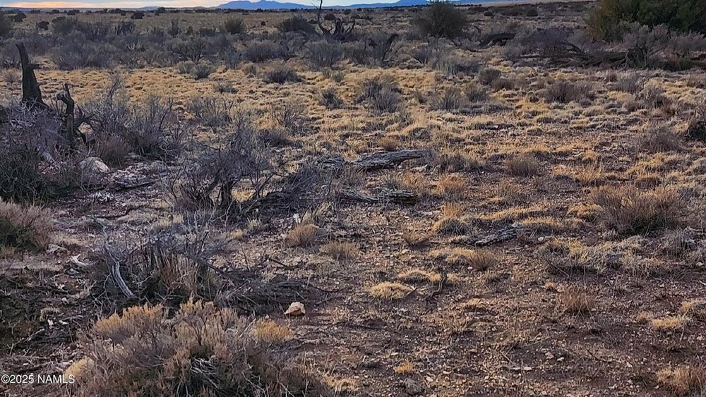 Photo of Mobile Home Lot