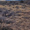 Photo of Mobile Home Lot