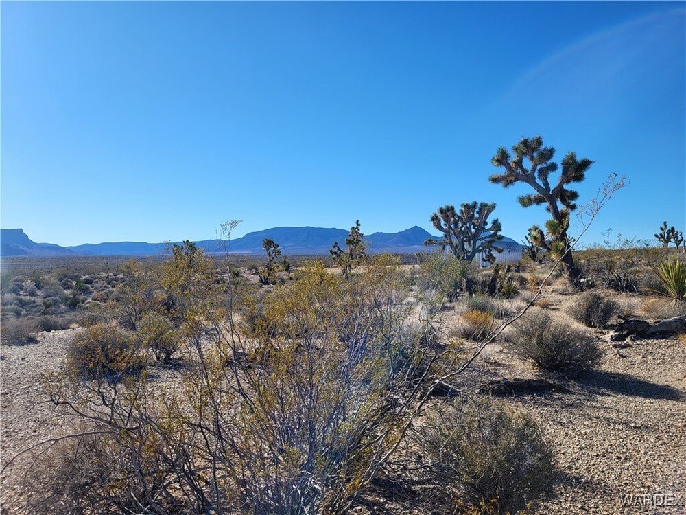 Photo of Mobile Home Lot
