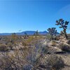 Photo of Mobile Home Lot