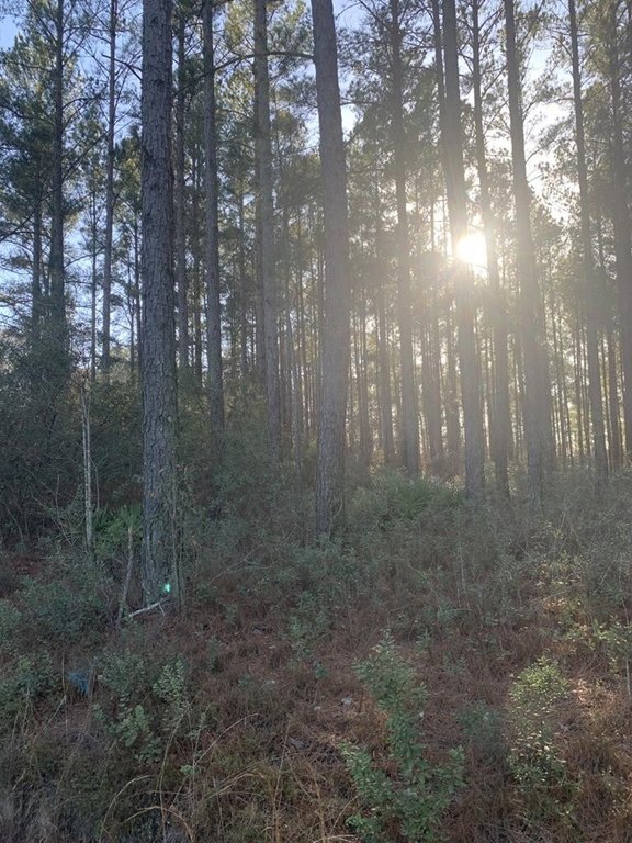 Photo of Mobile Home Lot
