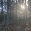 Photo of Mobile Home Lot