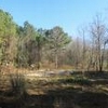 Mobile Home Lot for Sale: 1.49 acre Lot