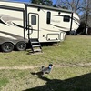 RV for Sale: 2019 WILDCAT 29RLX