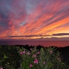 Photo of RV Park/Campground