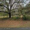Mobile Home for Sale: 3 Bed 2 Bath 1998 Mobile Home