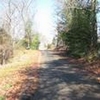 Mobile Home Lot for Sale: 0.75 acre Lot