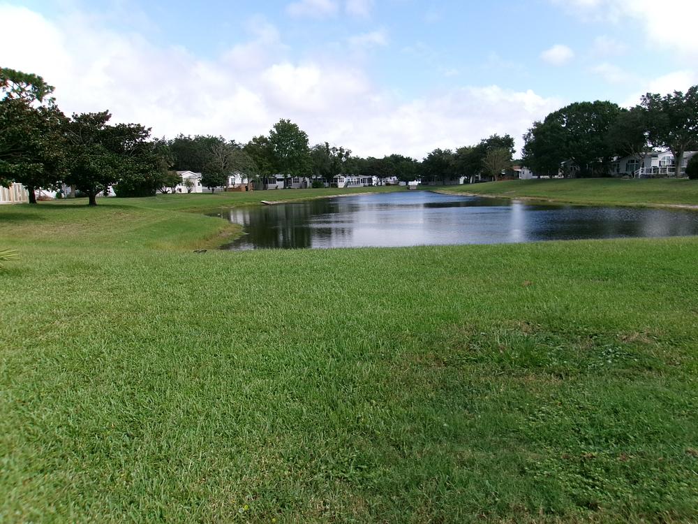 Bear Creek Village