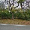 Mobile Home for Sale: 4 Bed 3 Bath 1988 Mobile Home
