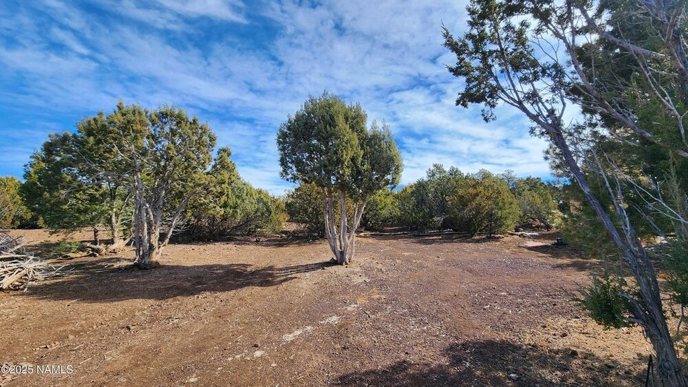 Photo of Mobile Home Lot