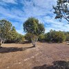 Photo of Mobile Home Lot