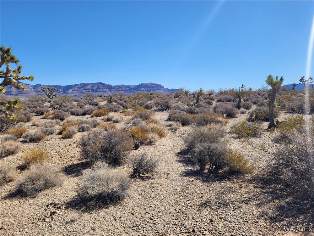 Photo of Mobile Home Lot