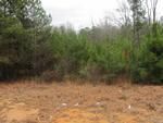 Photo of Mobile Home Lot