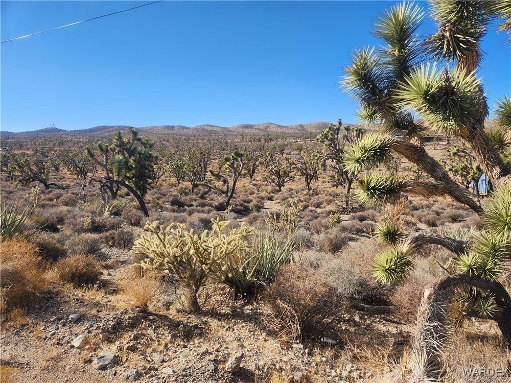 Photo of Mobile Home Lot