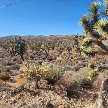 Photo of Mobile Home Lot