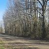 Mobile Home for Sale: Mobile Home