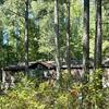 Mobile Home for Sale: 3 Bed 2 Bath 1991 Mobile Home