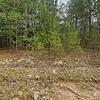 Mobile Home for Sale: 1997 Mobile Home