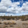 Photo of Mobile Home Lot