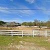Mobile Home for Sale: 1980 Mobile Home