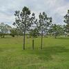 Mobile Home for Sale: 1985 Mobile Home