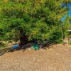 Mobile Home for Sale: In Park - Grants Pass, OR, Grants Pass, OR
