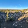 Photo of Mobile Home Lot