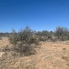 Photo of Mobile Home Lot