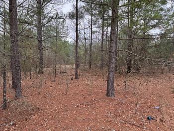 Thumbnail of mobile home lot