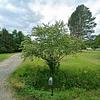 Mobile Home for Sale: 3 Bed 2 Bath 2002 Mobile Home