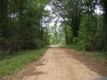 Photo of Mobile Home Lot