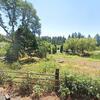 Mobile Home for Sale: 3 Bed 2 Bath 1996 Mobile Home