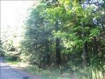 Photo of Mobile Home Lot