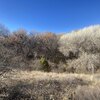 Photo of Mobile Home Lot
