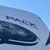 RV for Sale: 2022 Cherokee Arctic Wolf 3950SUITE