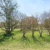 Mobile Home for Sale: 3 Bed 2 Bath 1984 Mobile Home