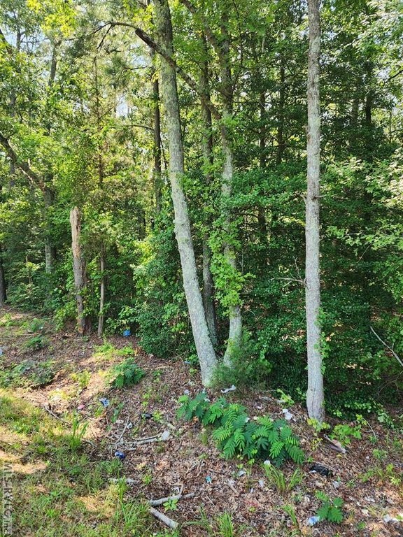 Photo of Mobile Home Lot